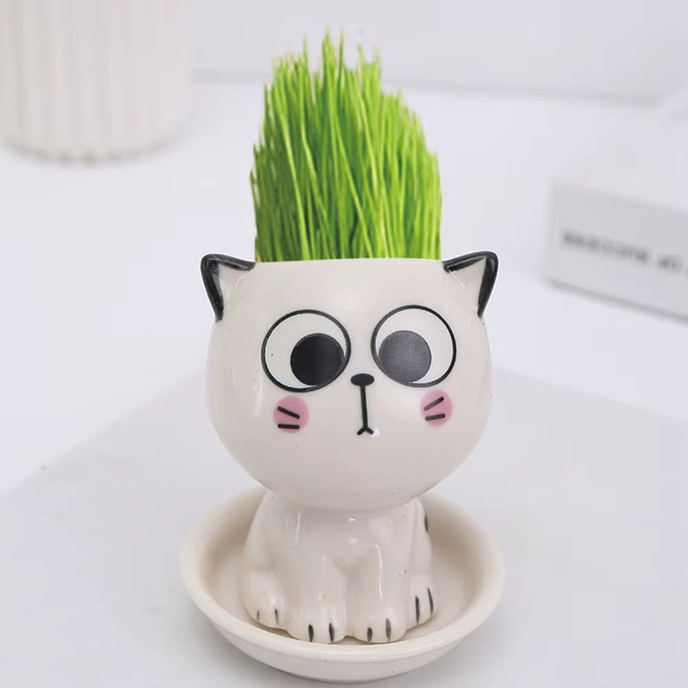 Ceramic Flowerpot Mini Cat Shaped Cartoon Cute Potted Plant Desktop Potted Expression Cat Plant Pot Desk Decorate Small Ornament