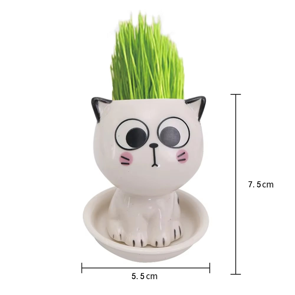 Ceramic Flowerpot Mini Cat Shaped Cartoon Cute Potted Plant Desktop Potted Expression Cat Plant Pot Desk Decorate Small Ornament