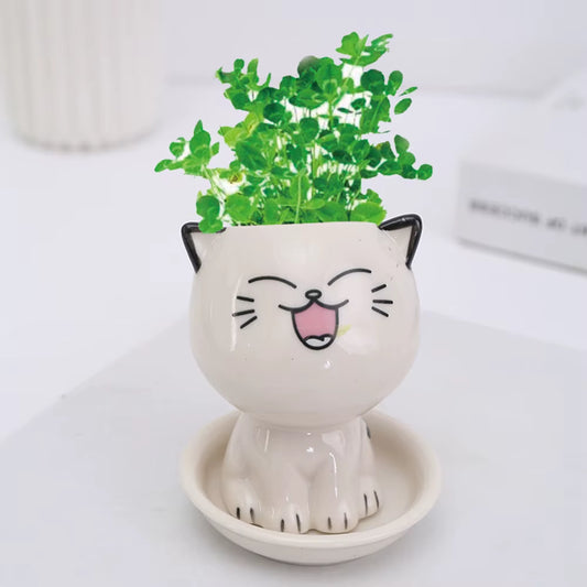 Ceramic Flowerpot Mini Cat Shaped Cartoon Cute Potted Plant Desktop Potted Expression Cat Plant Pot Desk Decorate Small Ornament