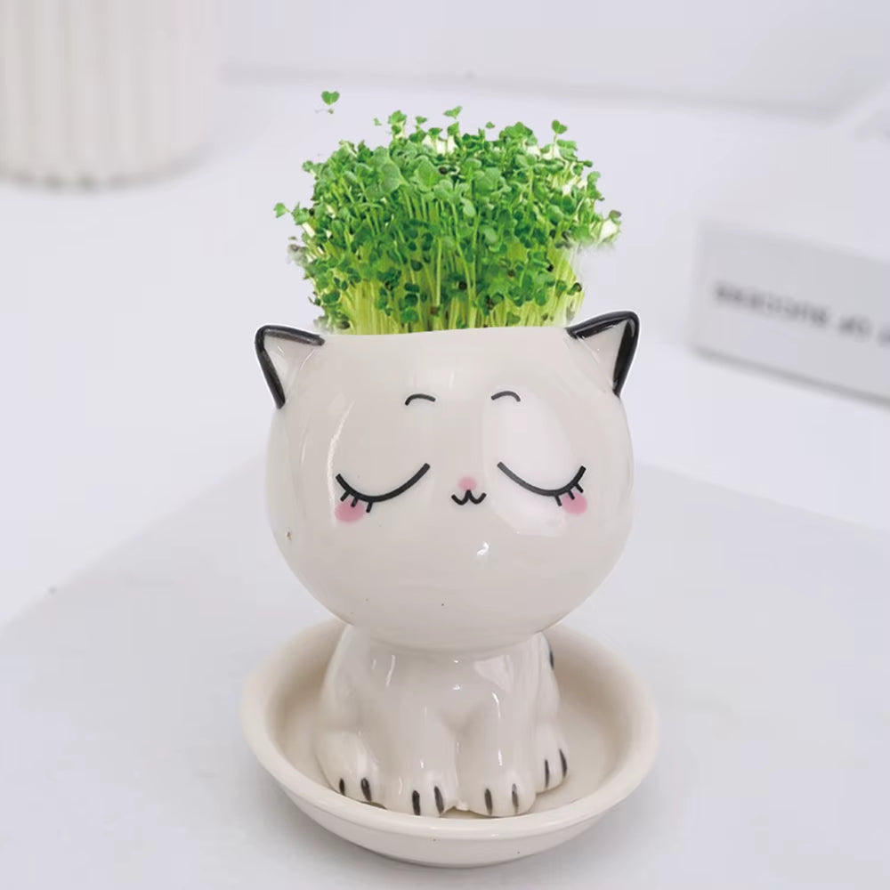 Ceramic Flowerpot Mini Cat Shaped Cartoon Cute Potted Plant Desktop Potted Expression Cat Plant Pot Desk Decorate Small Ornament