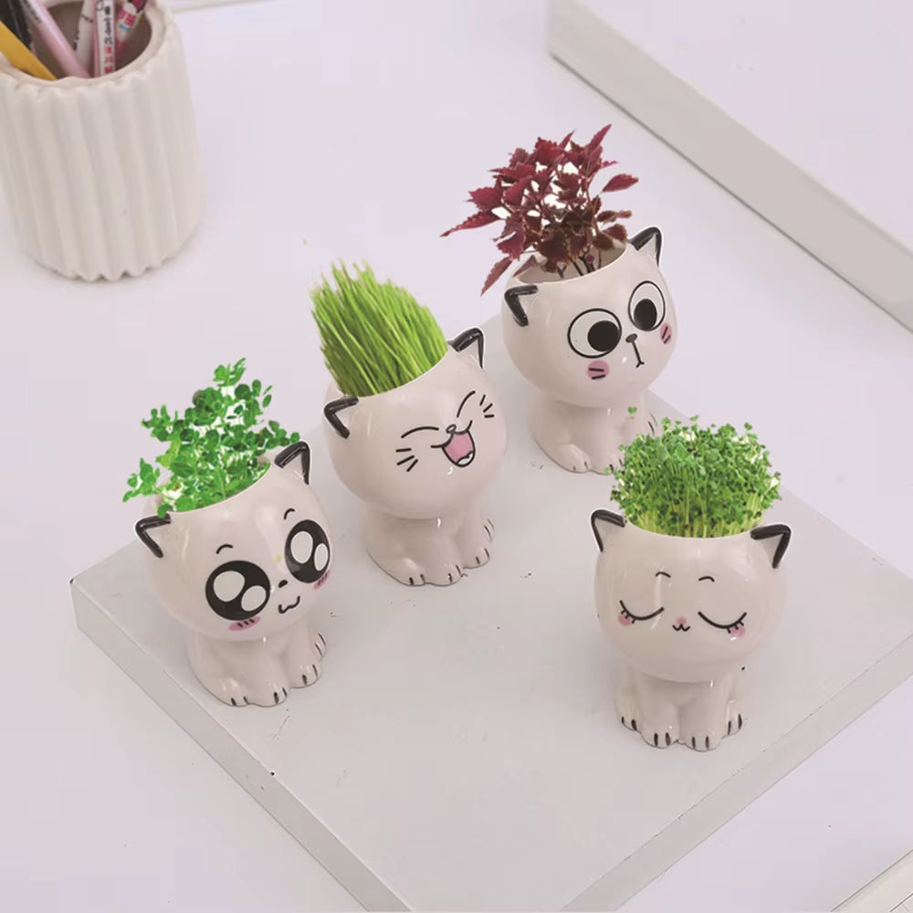 Ceramic Flowerpot Mini Cat Shaped Cartoon Cute Potted Plant Desktop Potted Expression Cat Plant Pot Desk Decorate Small Ornament